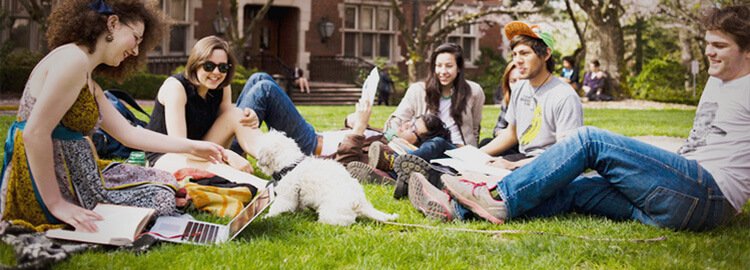Simple Steps to Improve Your Learning Experience